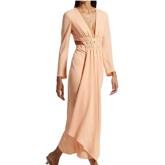 Acler Raven Cutout Midi Dress - Picture 3 of 14
